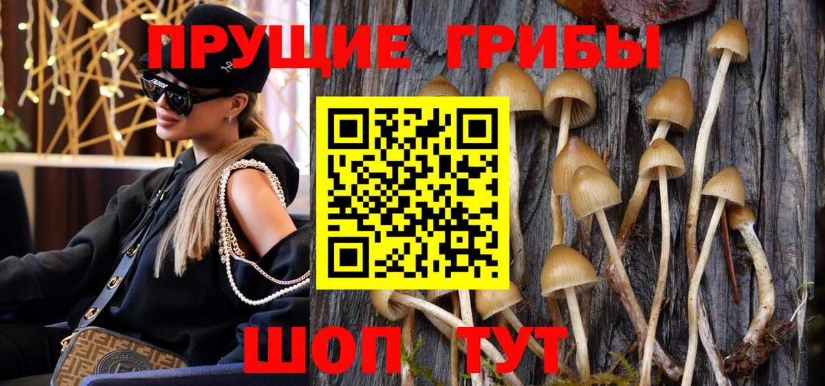Каменск-Уральский  купить   Вход с VPN  Псилоцибиновые грибы Cubensis 