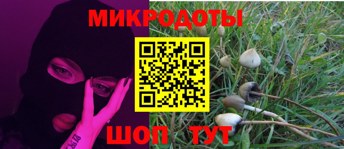 Галлюциногенные грибы мухоморы Каменск-Уральский